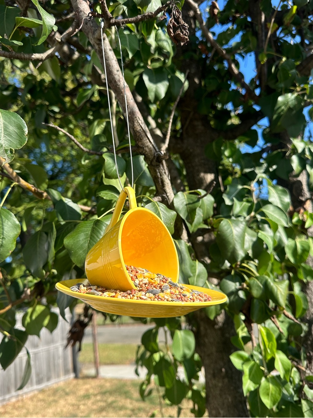 NEW! Handmade Yellow Ceramic Teacup Bird Feeder